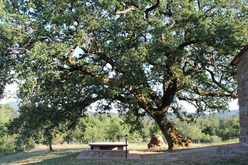 Agriturismo La Quercia Boccheggiano Buitenkant foto